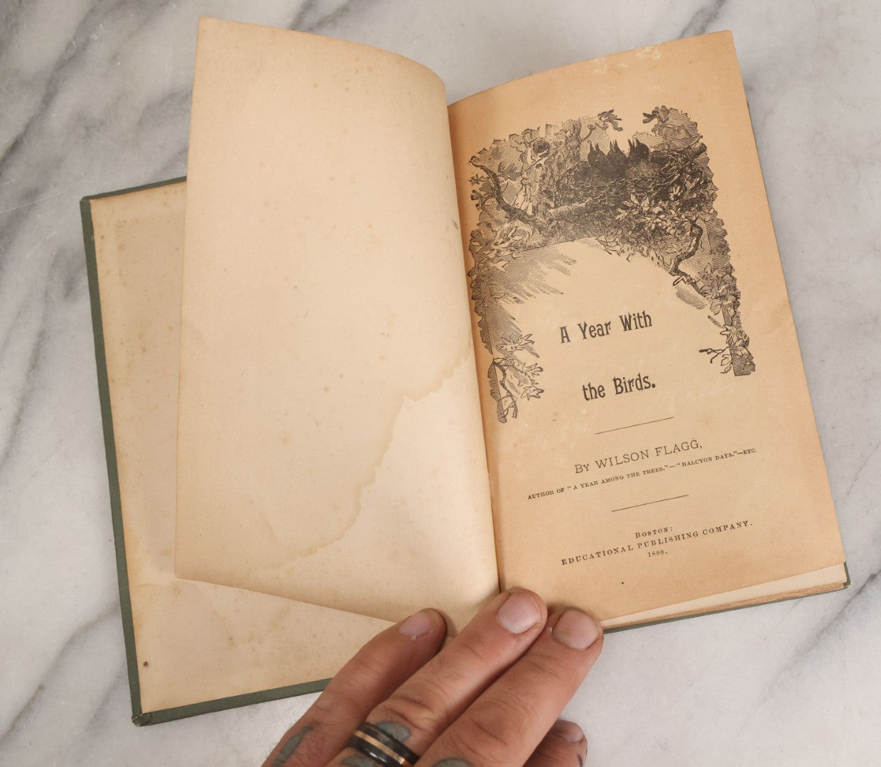 Lot 107 - "A Year With The Birds" Antique Illustrated Book By Wilson Flagg, Educational Publishing Company, Boston, 1890, Originally Published By Estes And Lauriat, Boston