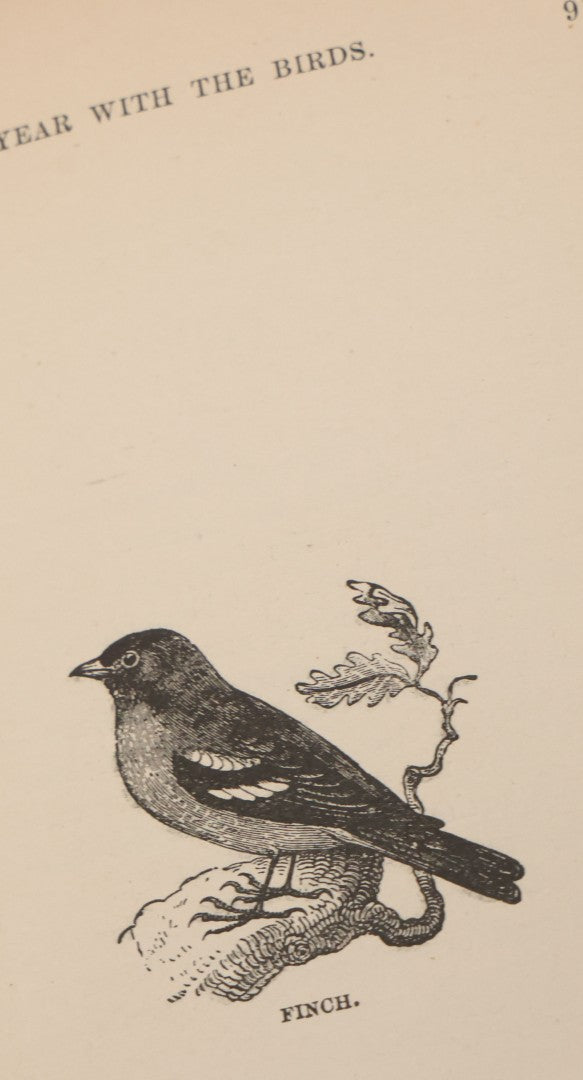 Lot 107 - "A Year With The Birds" Antique Illustrated Book By Wilson Flagg, Educational Publishing Company, Boston, 1890, Originally Published By Estes And Lauriat, Boston