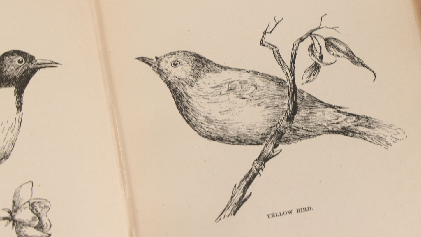 Lot 107 - "A Year With The Birds" Antique Illustrated Book By Wilson Flagg, Educational Publishing Company, Boston, 1890, Originally Published By Estes And Lauriat, Boston