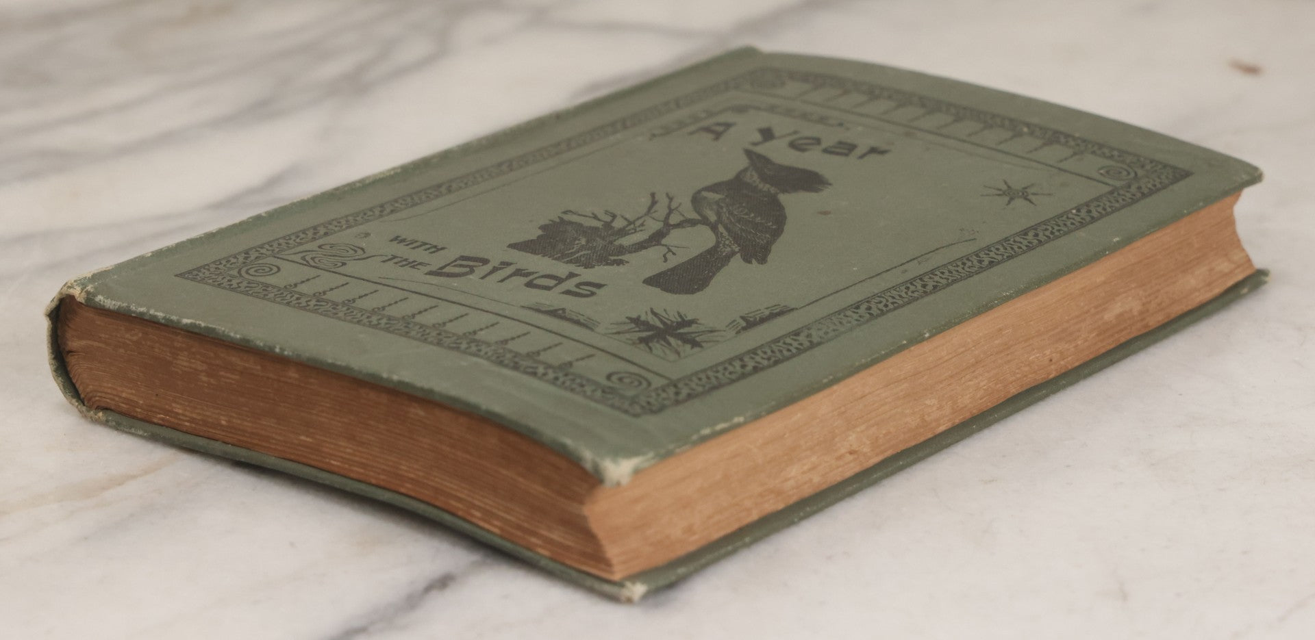 Lot 107 - "A Year With The Birds" Antique Illustrated Book By Wilson Flagg, Educational Publishing Company, Boston, 1890, Originally Published By Estes And Lauriat, Boston