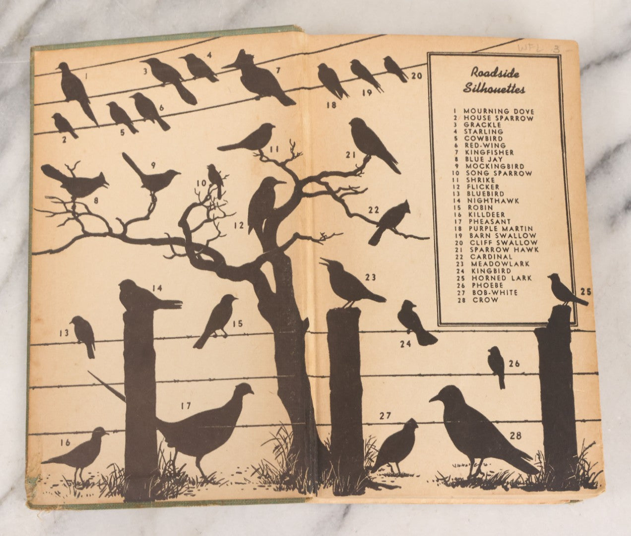 Lot 108 - "A Field Guide To The Birds: [...] All Species Found East Of The Rockies" Vintage Book Written And Illustrated By Roger Tory Peterson, Second Edition, Sponsored By National Audubon Society, Houghton Mifflin Company, Publishers, Boston, 1947