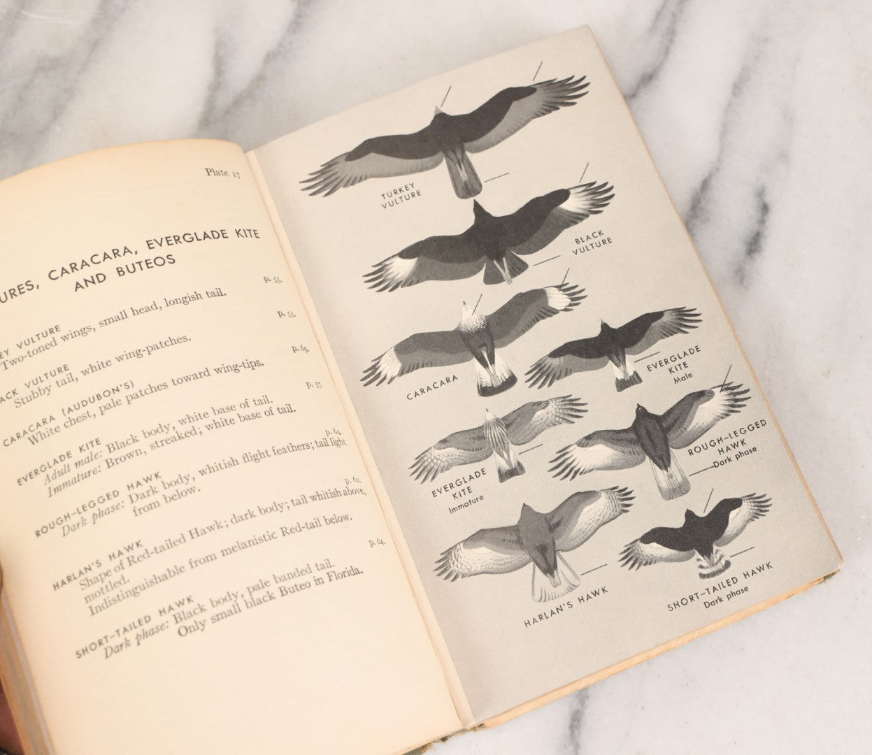 Lot 108 - "A Field Guide To The Birds: [...] All Species Found East Of The Rockies" Vintage Book Written And Illustrated By Roger Tory Peterson, Second Edition, Sponsored By National Audubon Society, Houghton Mifflin Company, Publishers, Boston, 1947