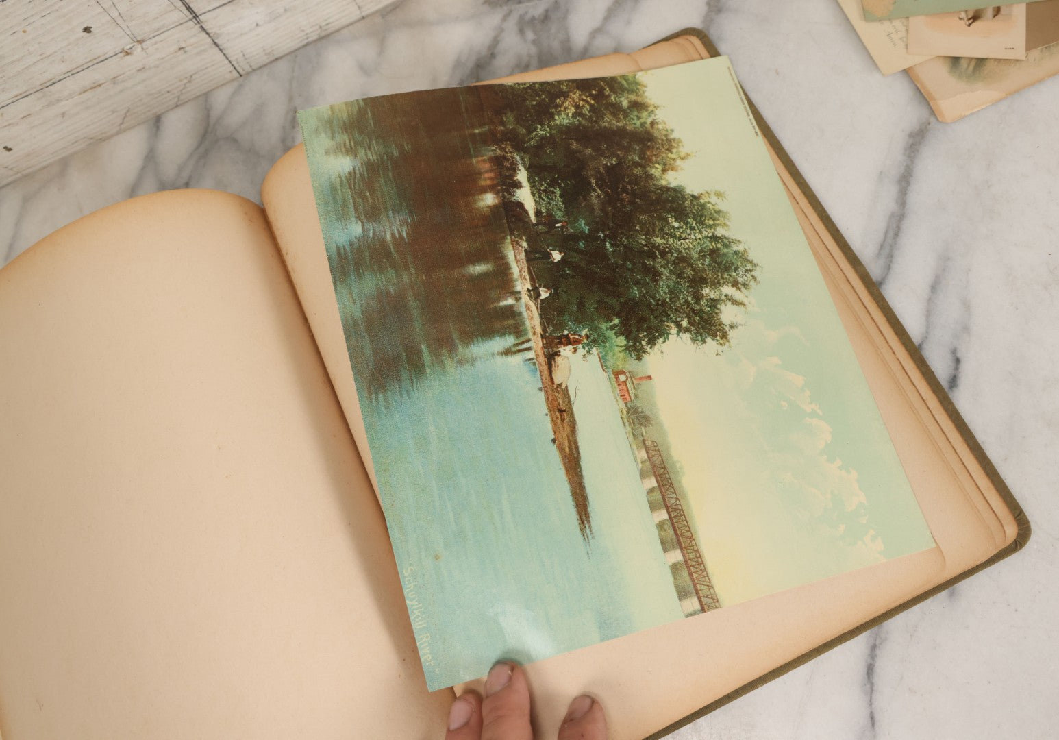 Lot 118 - Antique Victorian Scrapbook Album Green Cover, Silver Daisy Motif, With Many Lithographed Trade Cards, Holiday Cards, And Die Cuts, 90+ Pieces, Including Several Loose Cards