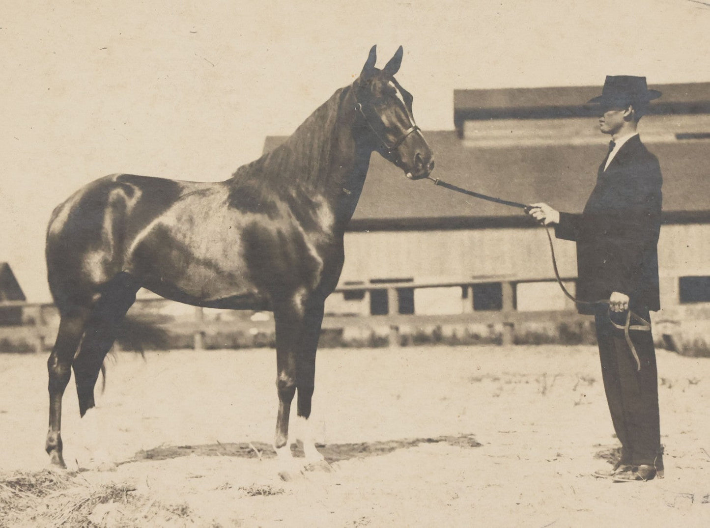 Lot 122 - Antique Boarded Photograph Of Horse Trainer Arthur Nickersham And His Horse Minamie, Photographed In Memphis, Tennessee, August 22, 1908