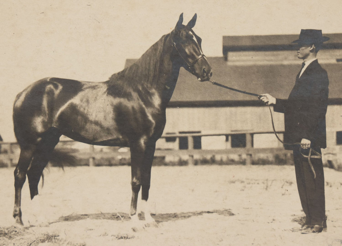 Lot 122 - Antique Boarded Photograph Of Horse Trainer Arthur Nickersham And His Horse Minamie, Photographed In Memphis, Tennessee, August 22, 1908