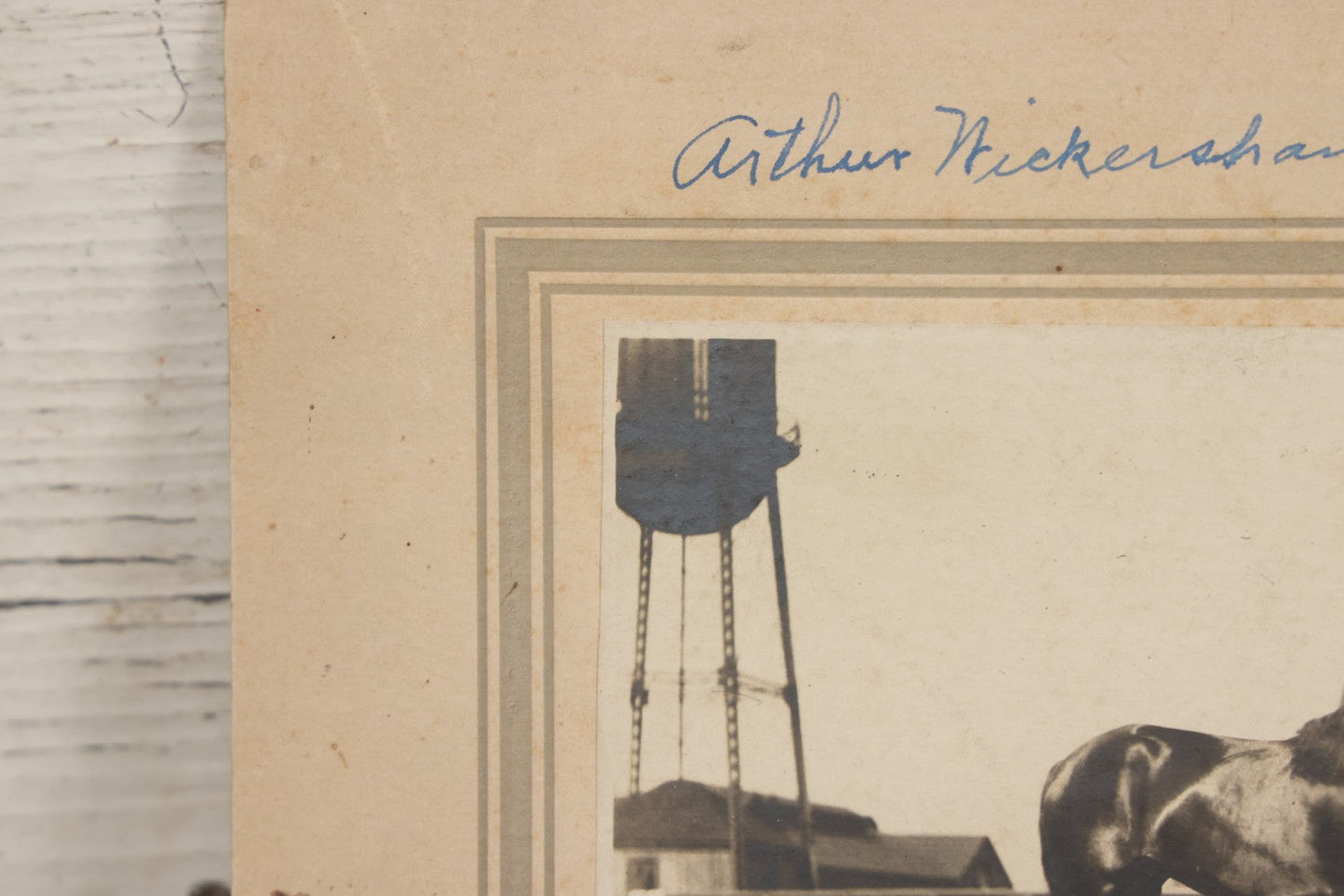 Lot 122 - Antique Boarded Photograph Of Horse Trainer Arthur Nickersham And His Horse Minamie, Photographed In Memphis, Tennessee, August 22, 1908