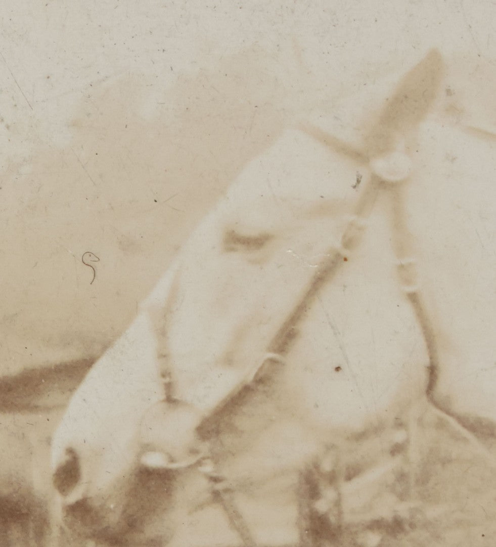 Lot 128 - Antique Boarded Photograph Of An Elderly Cowboy Smoking A Pipe Beside His White Horse