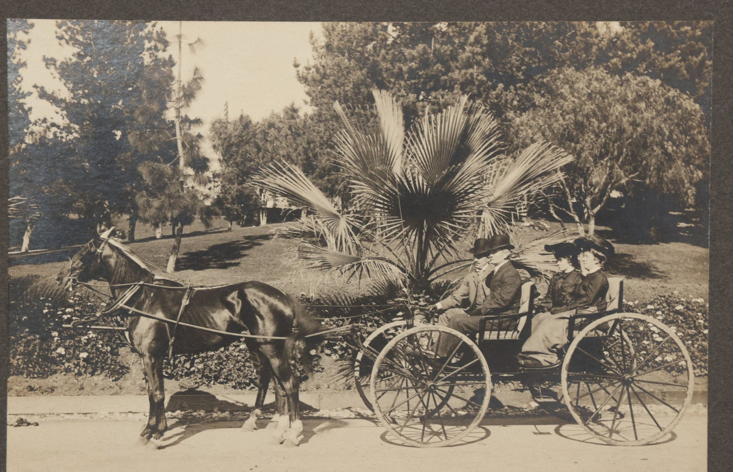 Lot 143 - Antique Boarded Photograph Of Two Men And Two Women Sitting In Horse Drawn Cart Pulled By A Black Horse In Westlake Park, Los Angeles, California