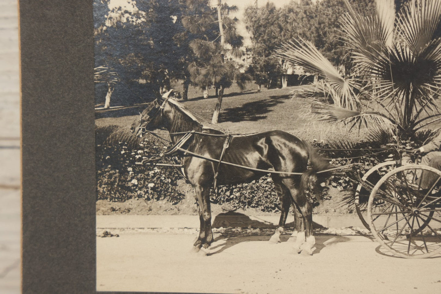 Lot 143 - Antique Boarded Photograph Of Two Men And Two Women Sitting In Horse Drawn Cart Pulled By A Black Horse In Westlake Park, Los Angeles, California