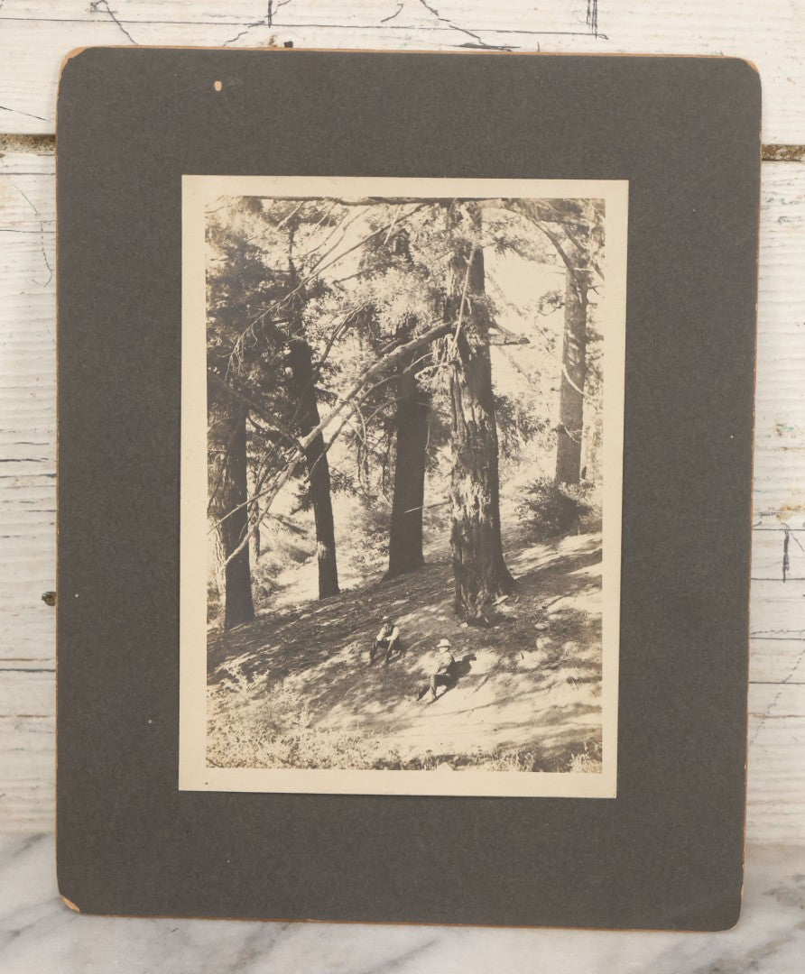 Lot 149 - Antique Boarded Photograph Of Two Men Relaxing In The Shade Beneath Trees On Slope Of Mount Wilson, Los Angeles County, California