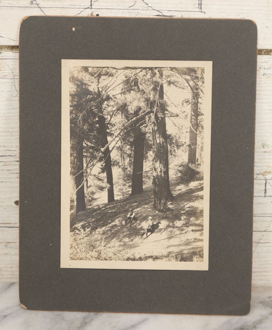 Lot 149 - Antique Boarded Photograph Of Two Men Relaxing In The Shade Beneath Trees On Slope Of Mount Wilson, Los Angeles County, California