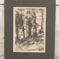 Lot 149 - Antique Boarded Photograph Of Two Men Relaxing In The Shade Beneath Trees On Slope Of Mount Wilson, Los Angeles County, California