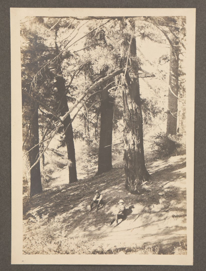 Lot 149 - Antique Boarded Photograph Of Two Men Relaxing In The Shade Beneath Trees On Slope Of Mount Wilson, Los Angeles County, California