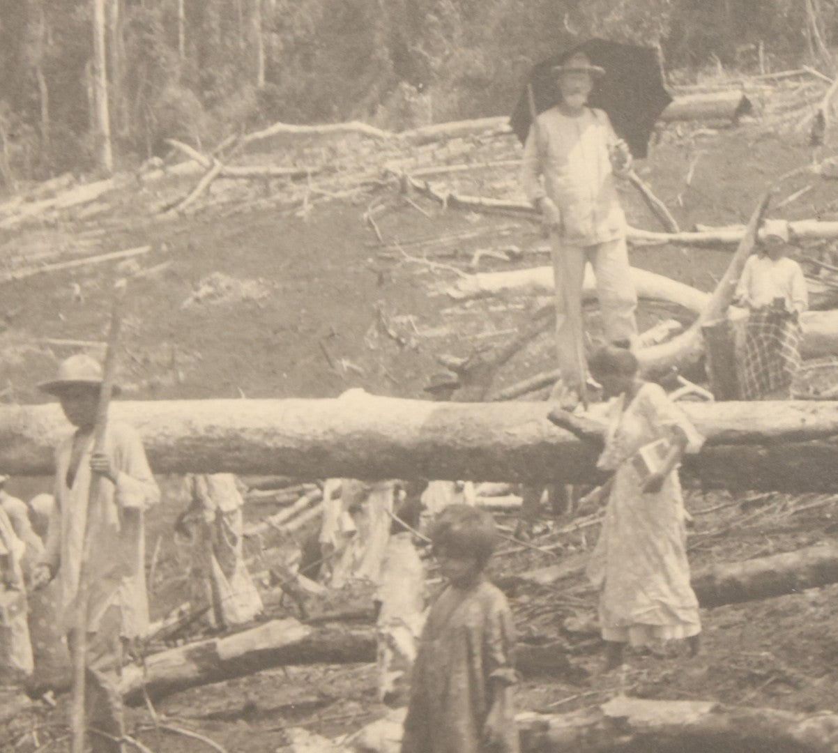 Lot 152 - Antique Boarded Photograph Of Group Of Men Women And Children Walking Through A Barren Deforested Landscape Including Tall Man Posing On Log With Parasol