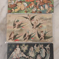 Lot 107 - Grouping Of Three Antique Foreign Postcards Of Children And Cherubs In Fantastical Scenes Including Flying On Birds, Napping On The Moon, And Sitting On Giant Mushrooms