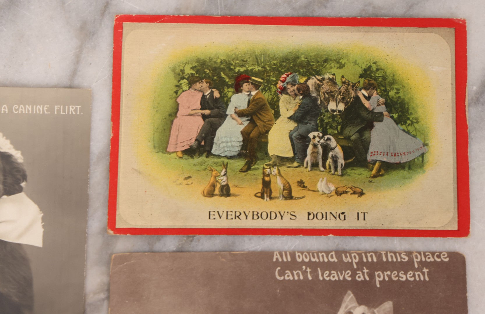 Lot 108 - Grouping Of Three Antique Postcards Of Pets Including "A Canine Flirt", Three Kittens, And Comic Postcard Of Everybody Kissing: "Everybody's Doing It"