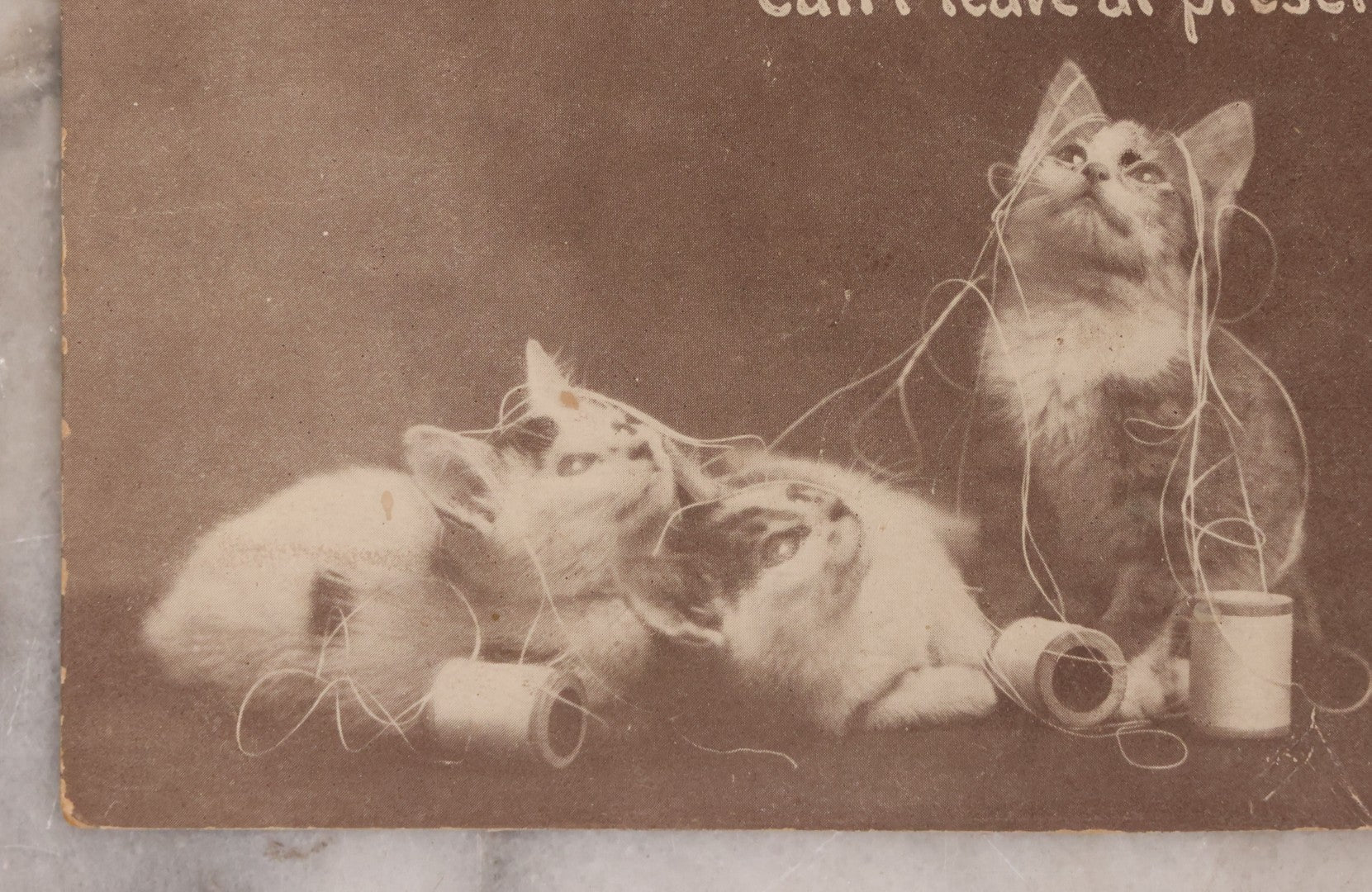 Lot 108 - Grouping Of Three Antique Postcards Of Pets Including "A Canine Flirt", Three Kittens, And Comic Postcard Of Everybody Kissing: "Everybody's Doing It"
