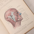Lot 129 - "Lessons In Hygienic Physiology" Antique Illustrated Medical Book By Walter Moore Coleman, The Macmillan Company, Publisher, New York, 1914, Note Coloring And Pencil Marks Throughout, Many Illustrations Cut Out Of Book