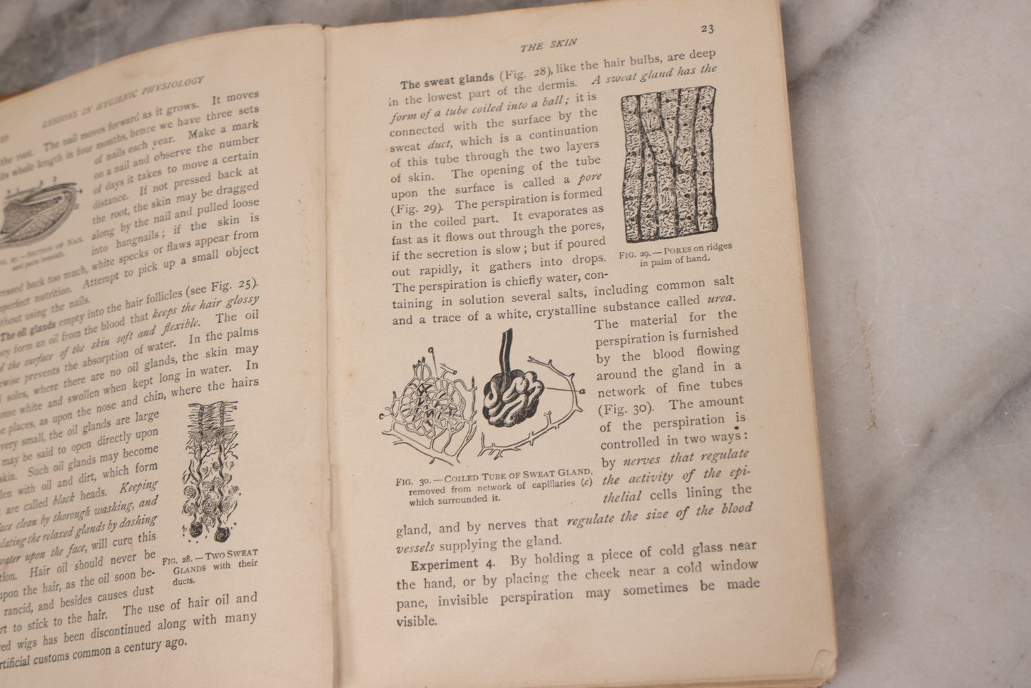 Lot 129 - "Lessons In Hygienic Physiology" Antique Illustrated Medical Book By Walter Moore Coleman, The Macmillan Company, Publisher, New York, 1914, Note Coloring And Pencil Marks Throughout, Many Illustrations Cut Out Of Book