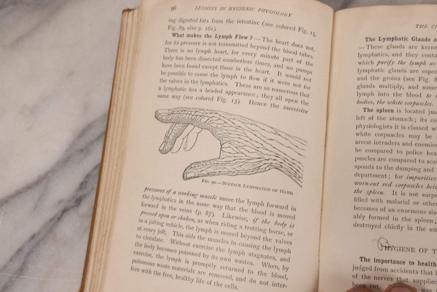 Lot 129 - "Lessons In Hygienic Physiology" Antique Illustrated Medical Book By Walter Moore Coleman, The Macmillan Company, Publisher, New York, 1914, Note Coloring And Pencil Marks Throughout, Many Illustrations Cut Out Of Book