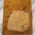 Lot 011 - Antique Victorian Photo Album With Yellow Velvet Cover, Celluloid Shell Decoration With Crab, Containing 28 Cabinet Card And Twelve C.D.V. Photographs, Including Co-Ed Class Photo, Little Girl Holding Bisque Doll, Note Binding Completely Shot