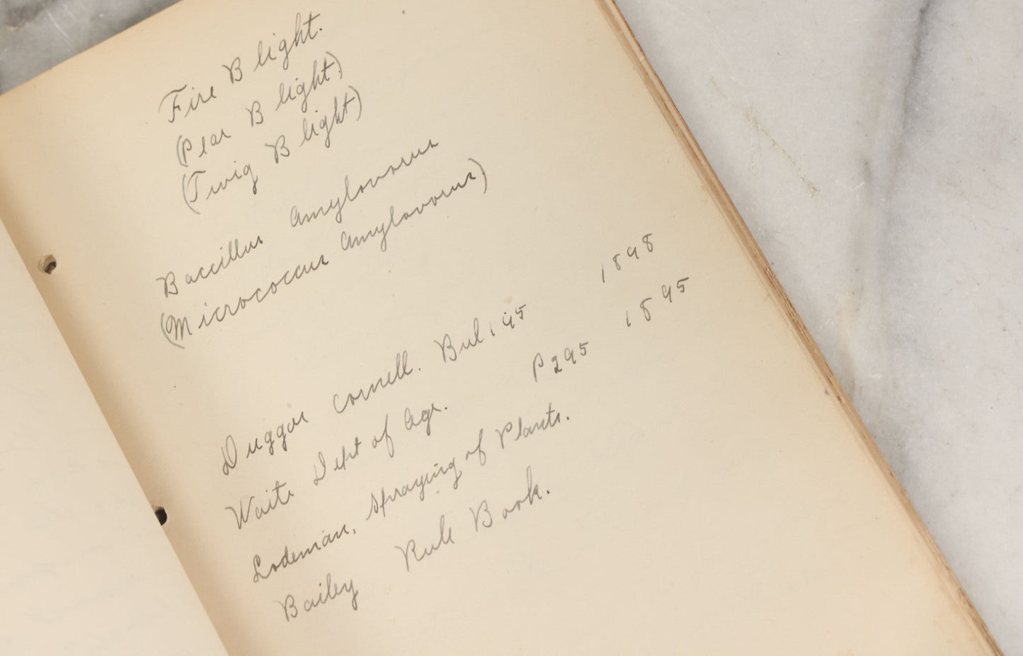Lot 046 - Antique New Hampshire College Course Notebook For "Plant Diseases And Their Remedies" Having Belonged To Arthur G. Dunn, Durham And Harrisville, New Hampshire, 1904, With Handwritten Notes Taken In Course Of Study