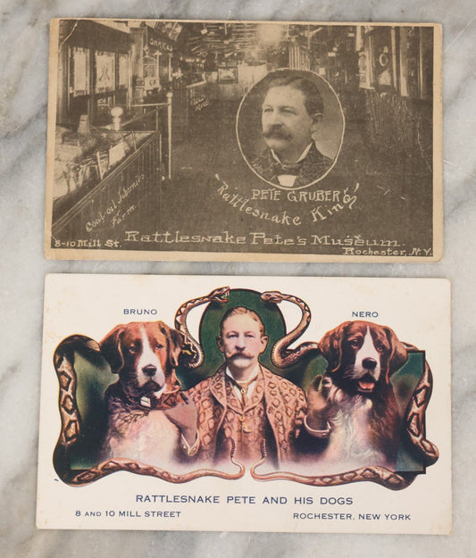 Lot 080 - Pair Of Antique Sideshow Souvenir Postcards Advertising Rattlesnake Pete's Museum, Rochester, New York, Including "Rattlesnake Pete And His Dogs" And Pete Gruber "Rattlesnake King"