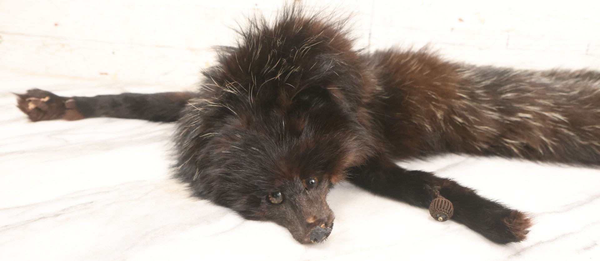 Lot 038 - Vintage Real Fur Fox Scarf, Manufactured By Frank L. Singer Furs, Peekskill, New York, Note Wear And Tear