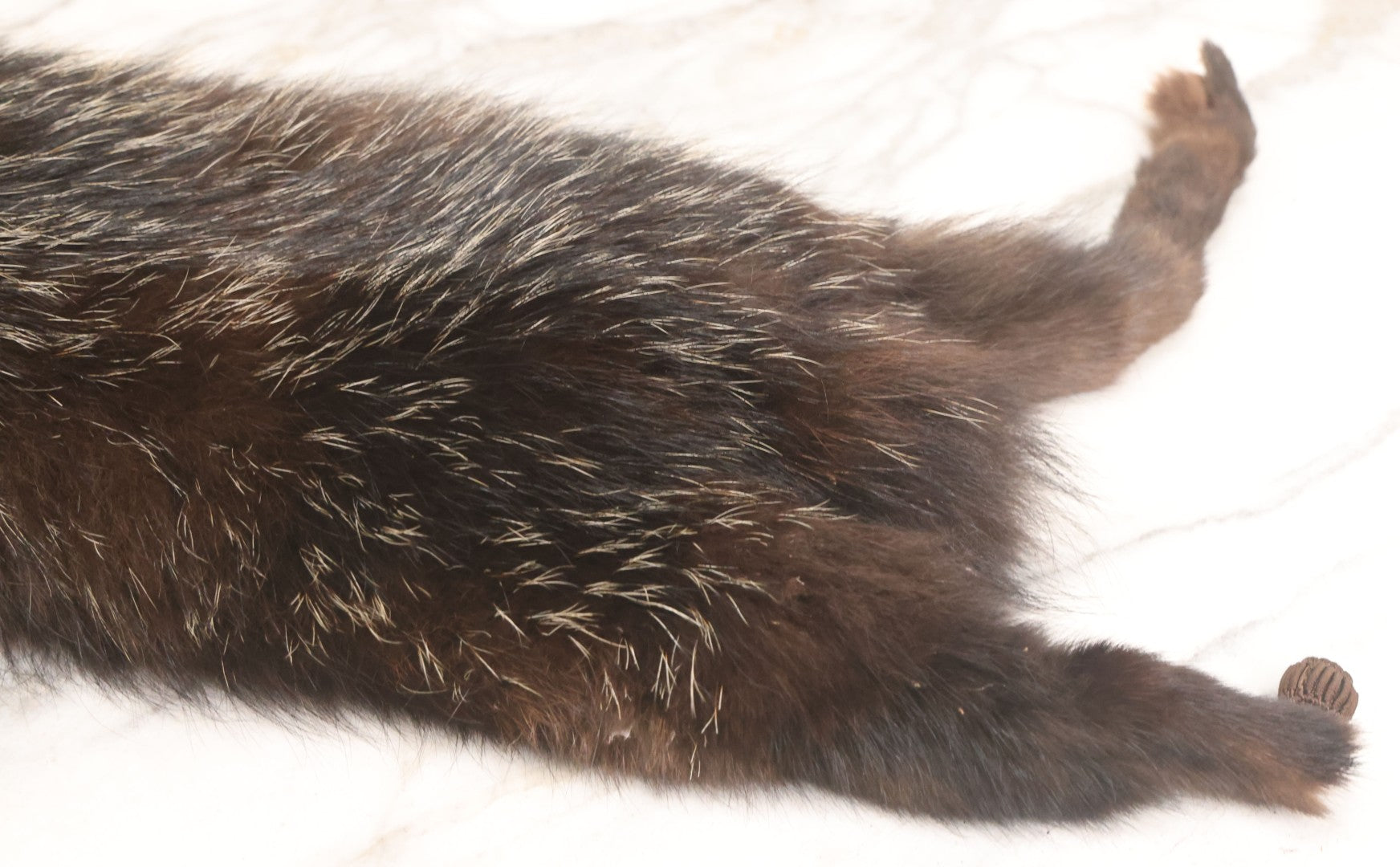 Lot 038 - Vintage Real Fur Fox Scarf, Manufactured By Frank L. Singer Furs, Peekskill, New York, Note Wear And Tear