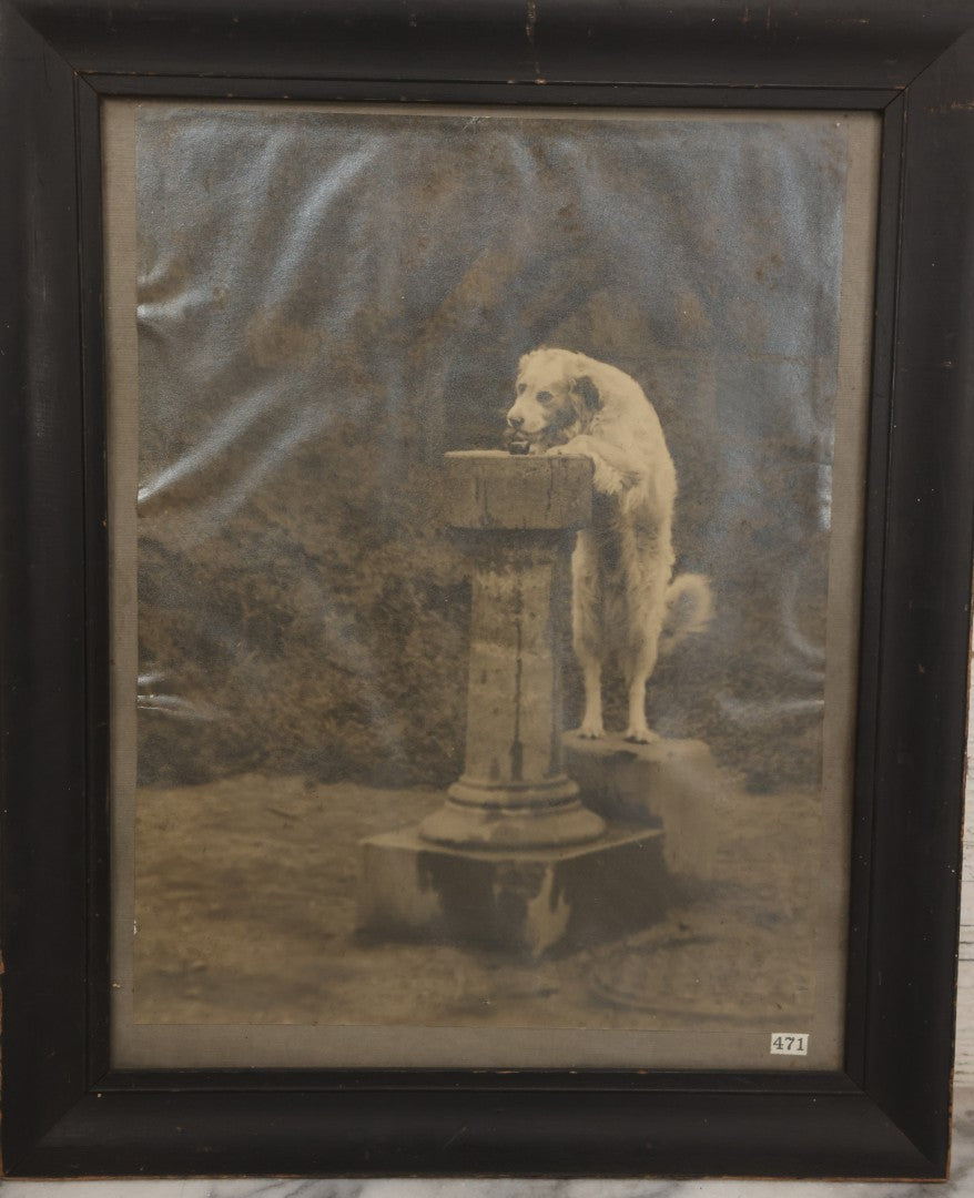 Lot 089 - Antique Photo Clipping Of Dog Drinking From Fountain, In Frame