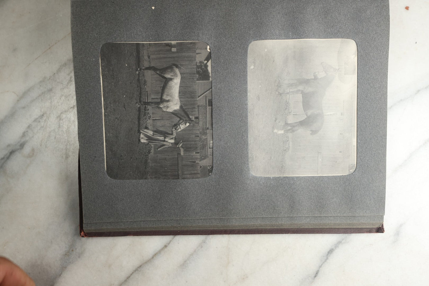 Lot 116 - Antique Snapshot Photo Album, Containing Approximately 100 Photographs, Including Ladies Golfing, Leisure Time Outdoors, Wedding Photos, Ice Skating And Hockey, Dogs, And More, Circa 1905