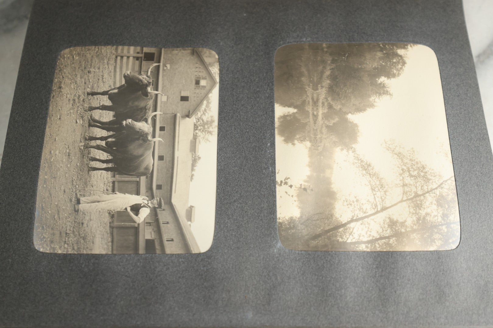 Lot 116 - Antique Snapshot Photo Album, Containing Approximately 100 Photographs, Including Ladies Golfing, Leisure Time Outdoors, Wedding Photos, Ice Skating And Hockey, Dogs, And More, Circa 1905
