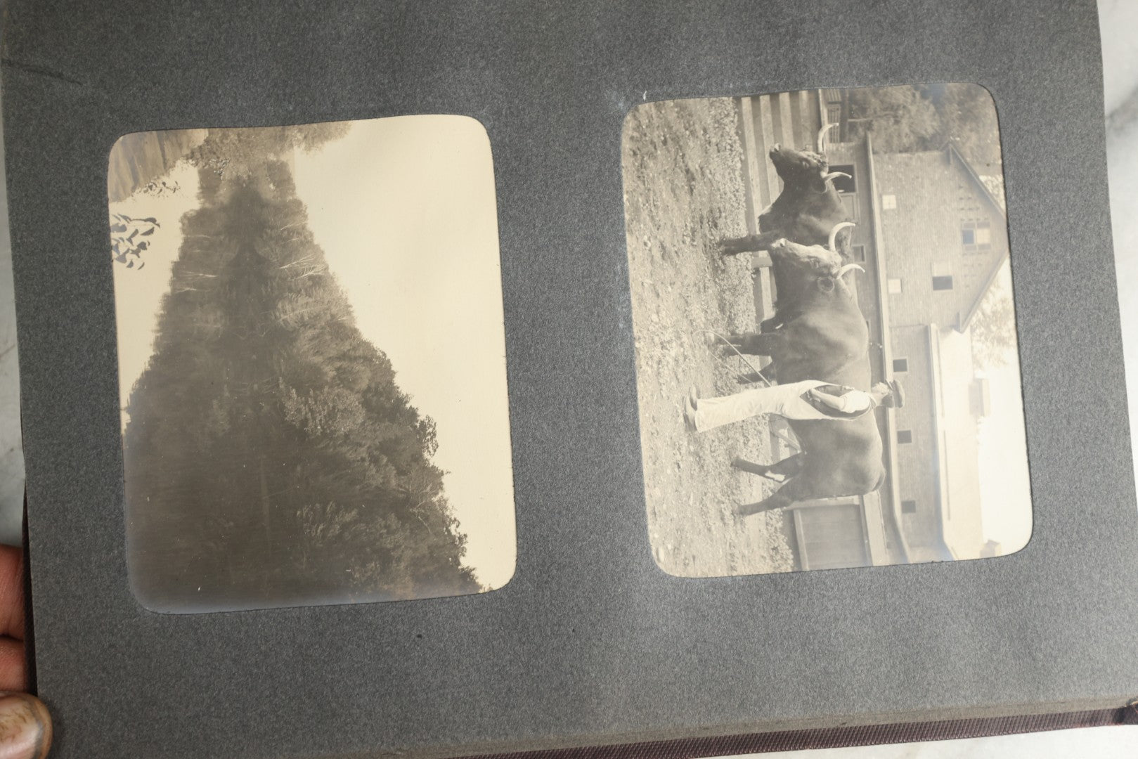 Lot 116 - Antique Snapshot Photo Album, Containing Approximately 100 Photographs, Including Ladies Golfing, Leisure Time Outdoors, Wedding Photos, Ice Skating And Hockey, Dogs, And More, Circa 1905