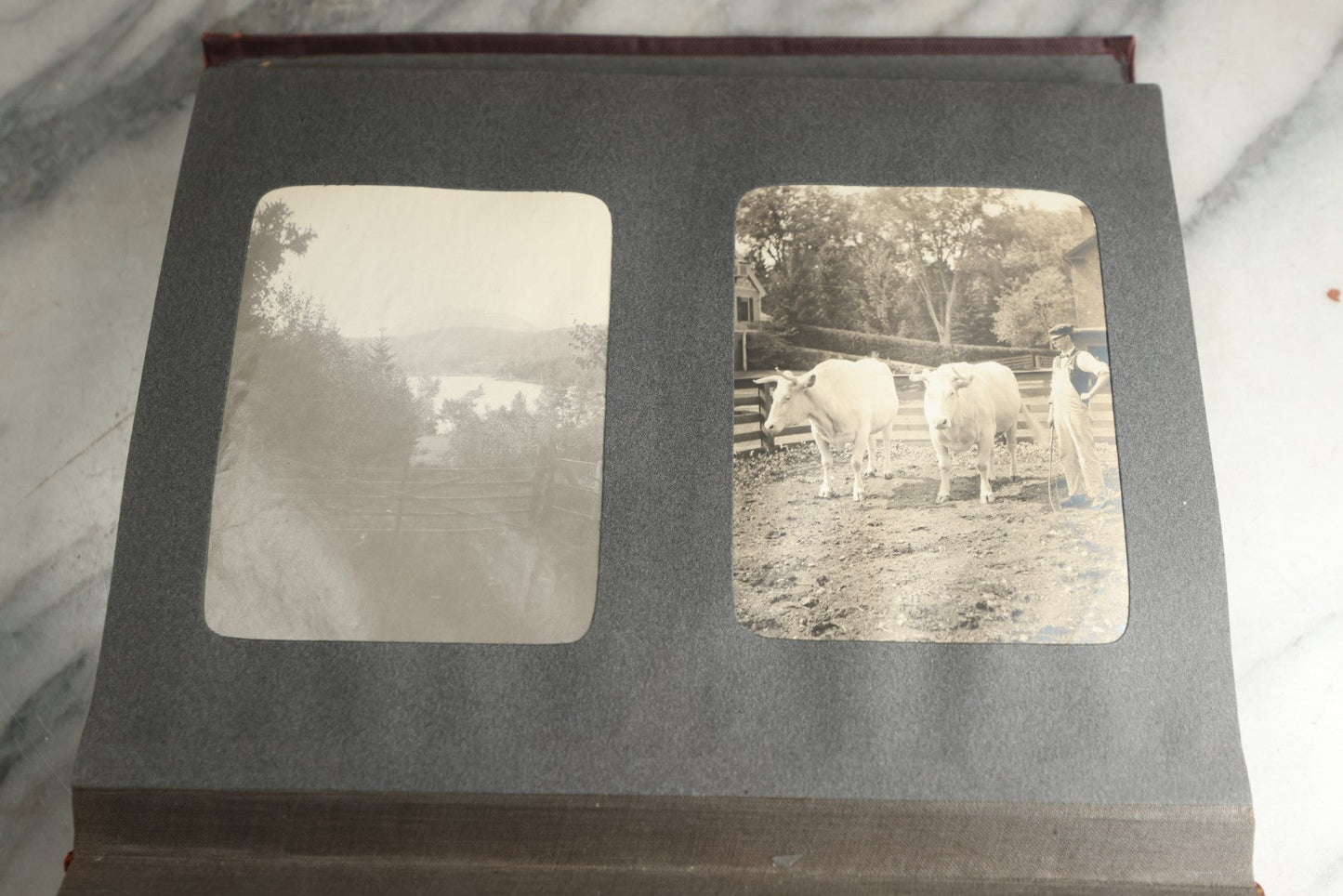 Lot 116 - Antique Snapshot Photo Album, Containing Approximately 100 Photographs, Including Ladies Golfing, Leisure Time Outdoors, Wedding Photos, Ice Skating And Hockey, Dogs, And More, Circa 1905