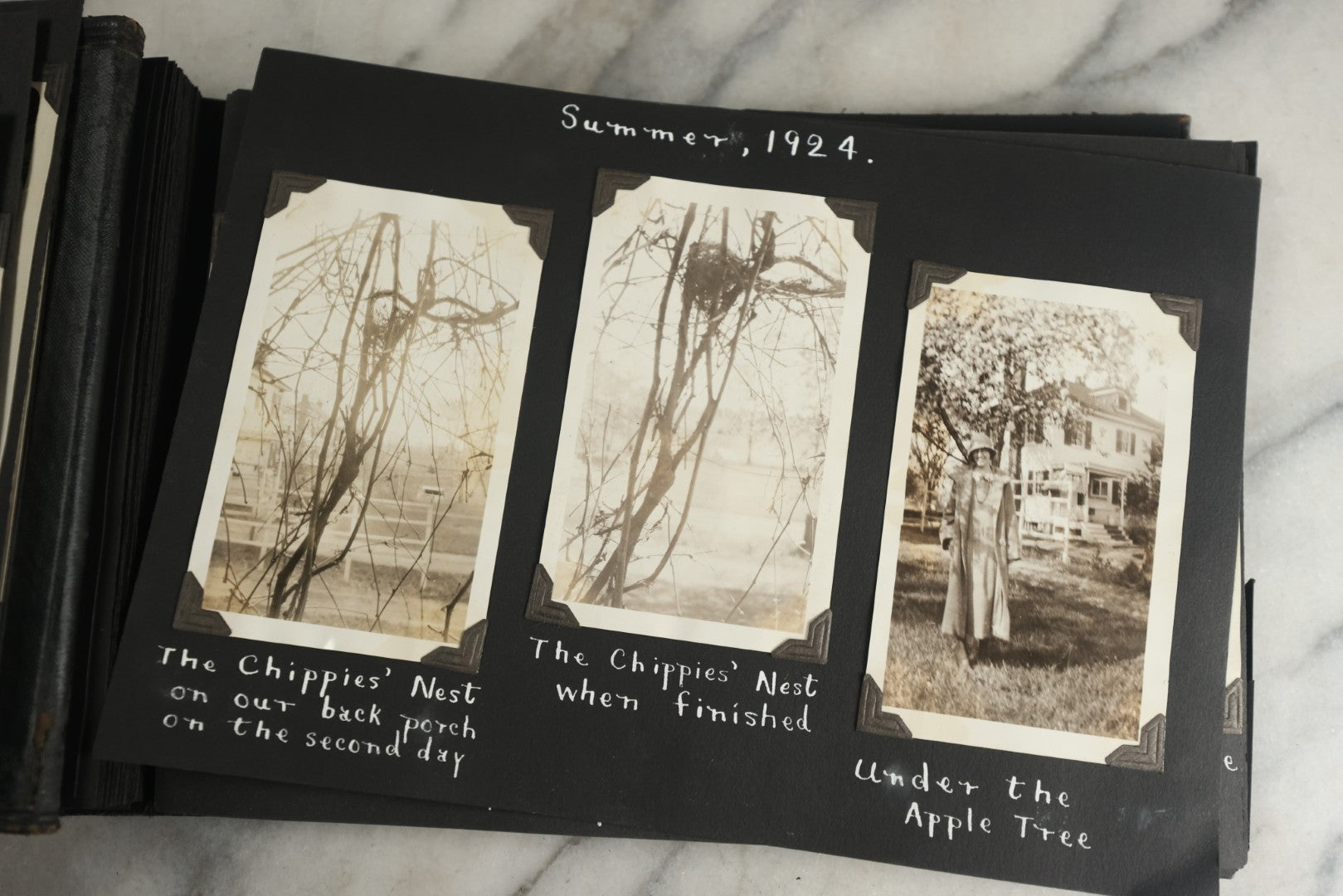 Lot 117 - Antique Snapshot Photo Album, Containing Approximately 150 Photographs With Captions, Including High School Seniors, Camping Trips, Flappers, People In Swimwear, Canoeing, And More, Circa 1925