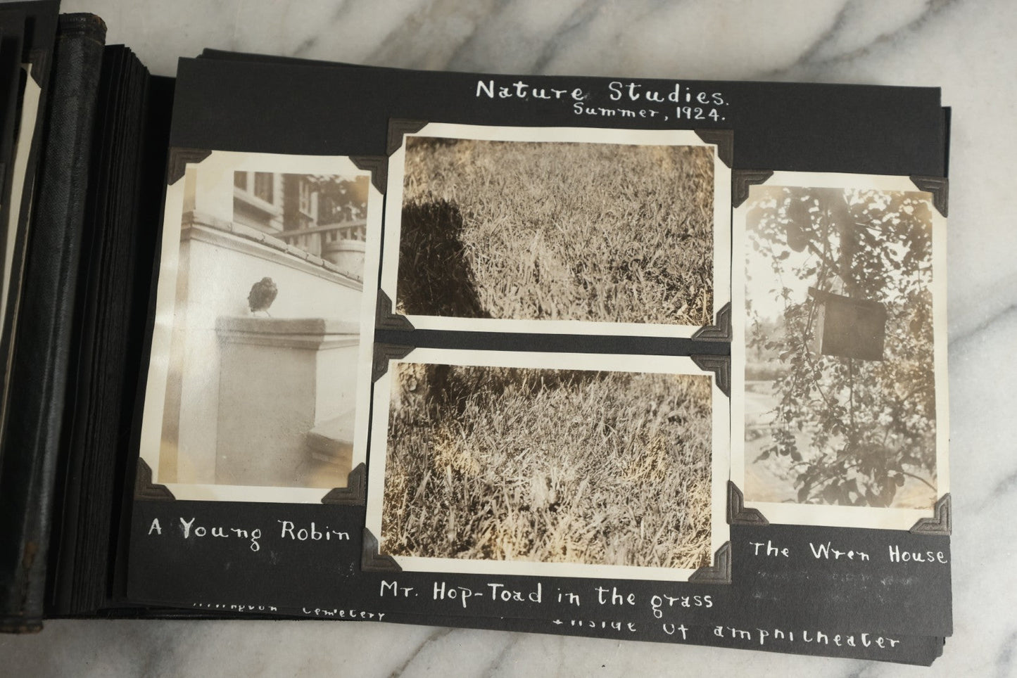 Lot 117 - Antique Snapshot Photo Album, Containing Approximately 150 Photographs With Captions, Including High School Seniors, Camping Trips, Flappers, People In Swimwear, Canoeing, And More, Circa 1925
