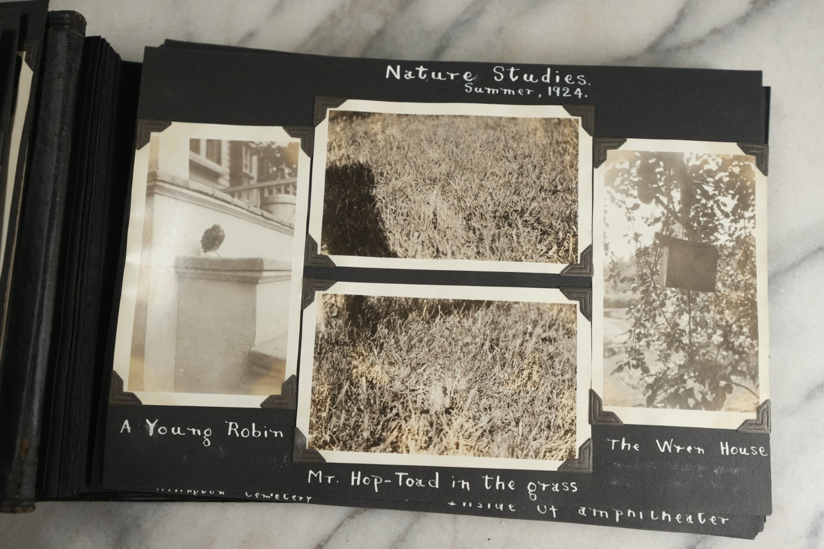 Lot 117 - Antique Snapshot Photo Album, Containing Approximately 150 Photographs With Captions, Including High School Seniors, Camping Trips, Flappers, People In Swimwear, Canoeing, And More, Circa 1925