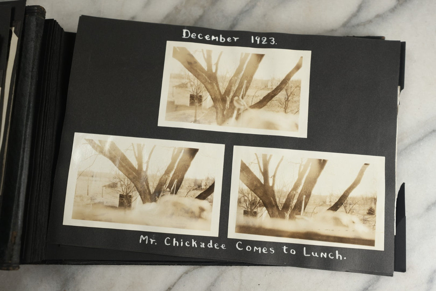 Lot 117 - Antique Snapshot Photo Album, Containing Approximately 150 Photographs With Captions, Including High School Seniors, Camping Trips, Flappers, People In Swimwear, Canoeing, And More, Circa 1925
