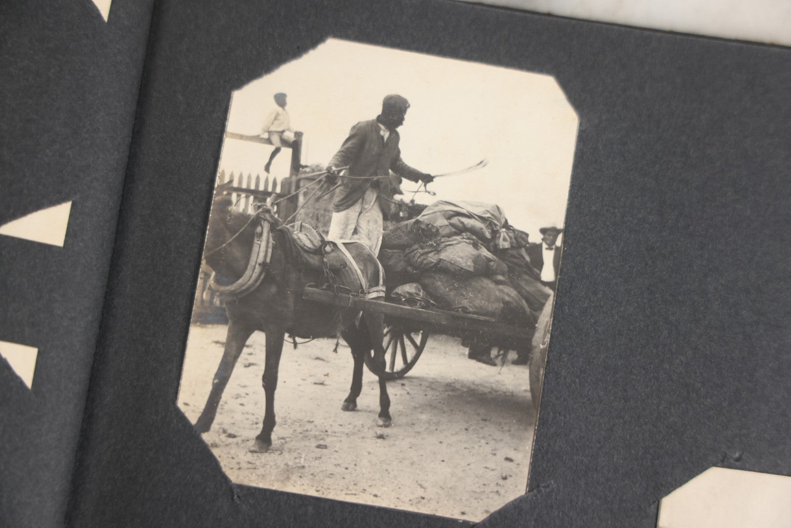 Lot 118 - Antique Snapshot Photo Album, Containing Approximately 30 Photographs, Travel Photo Album With Photos Of Trip To Nassau, Bahamas, February And March 1903, Including Photos On Ship