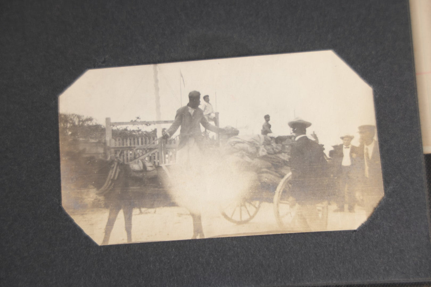 Lot 118 - Antique Snapshot Photo Album, Containing Approximately 30 Photographs, Travel Photo Album With Photos Of Trip To Nassau, Bahamas, February And March 1903, Including Photos On Ship