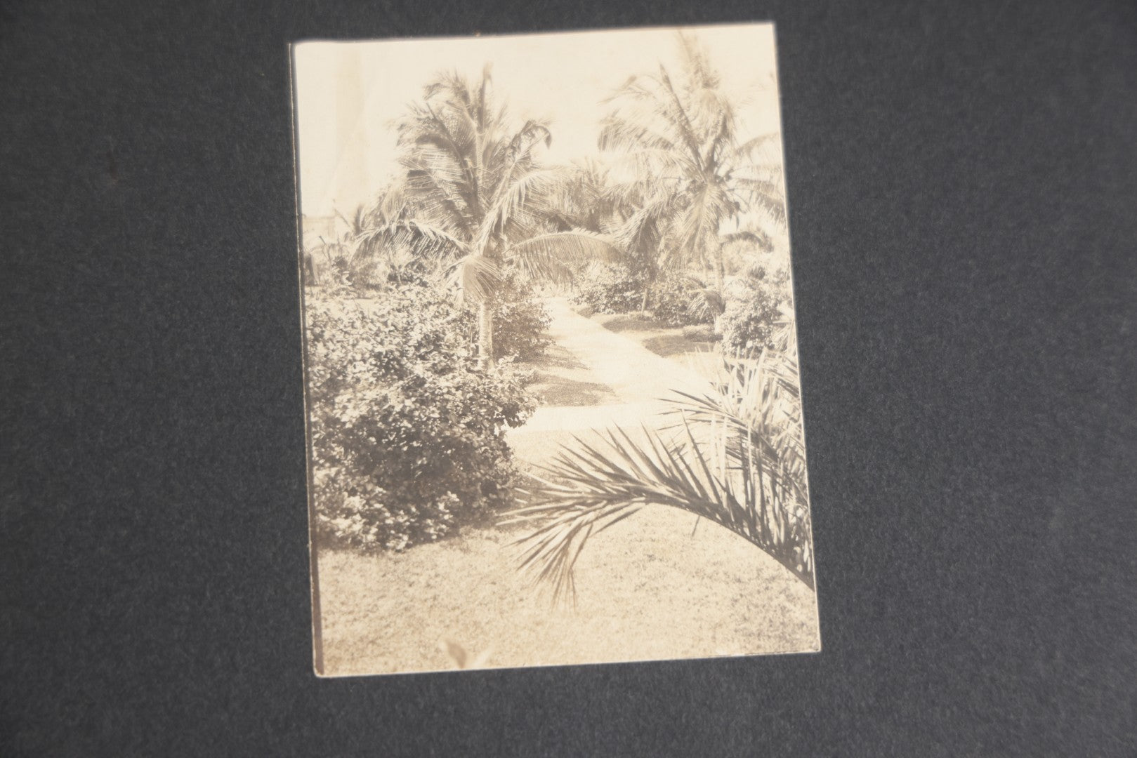 Lot 118 - Antique Snapshot Photo Album, Containing Approximately 30 Photographs, Travel Photo Album With Photos Of Trip To Nassau, Bahamas, February And March 1903, Including Photos On Ship