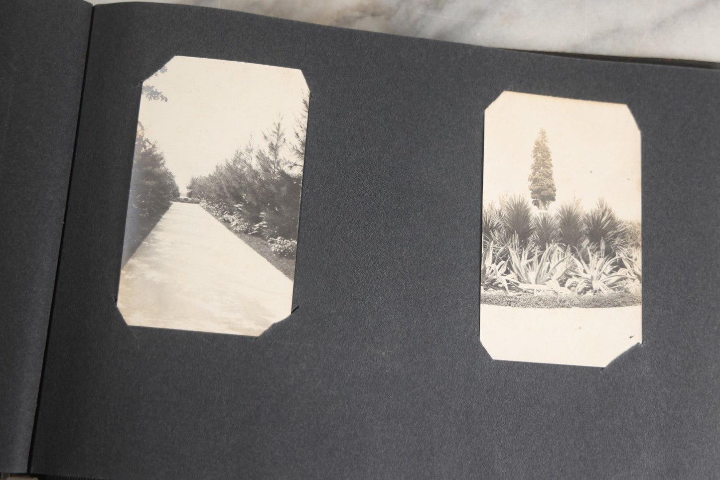 Lot 118 - Antique Snapshot Photo Album, Containing Approximately 30 Photographs, Travel Photo Album With Photos Of Trip To Nassau, Bahamas, February And March 1903, Including Photos On Ship