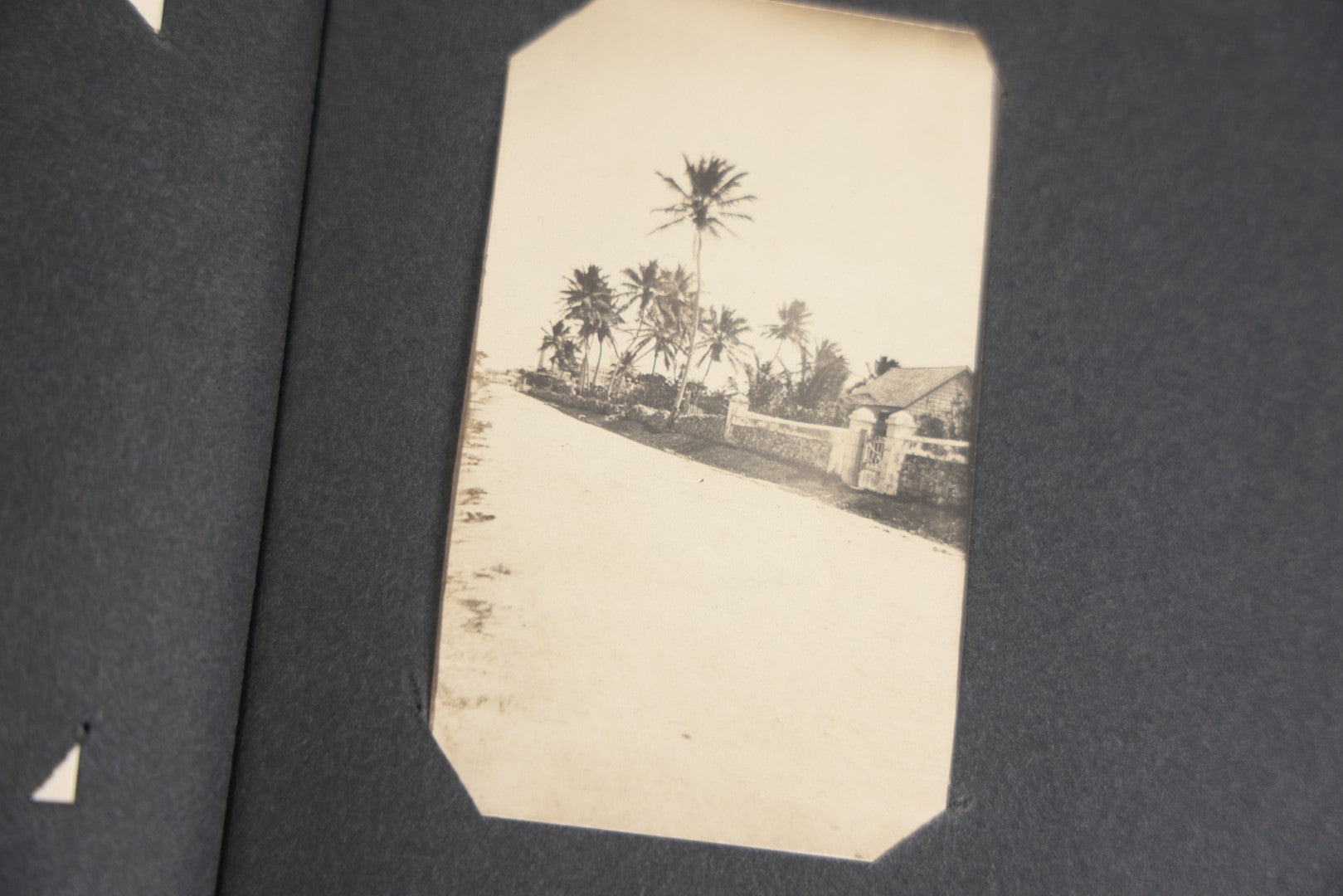 Lot 118 - Antique Snapshot Photo Album, Containing Approximately 30 Photographs, Travel Photo Album With Photos Of Trip To Nassau, Bahamas, February And March 1903, Including Photos On Ship