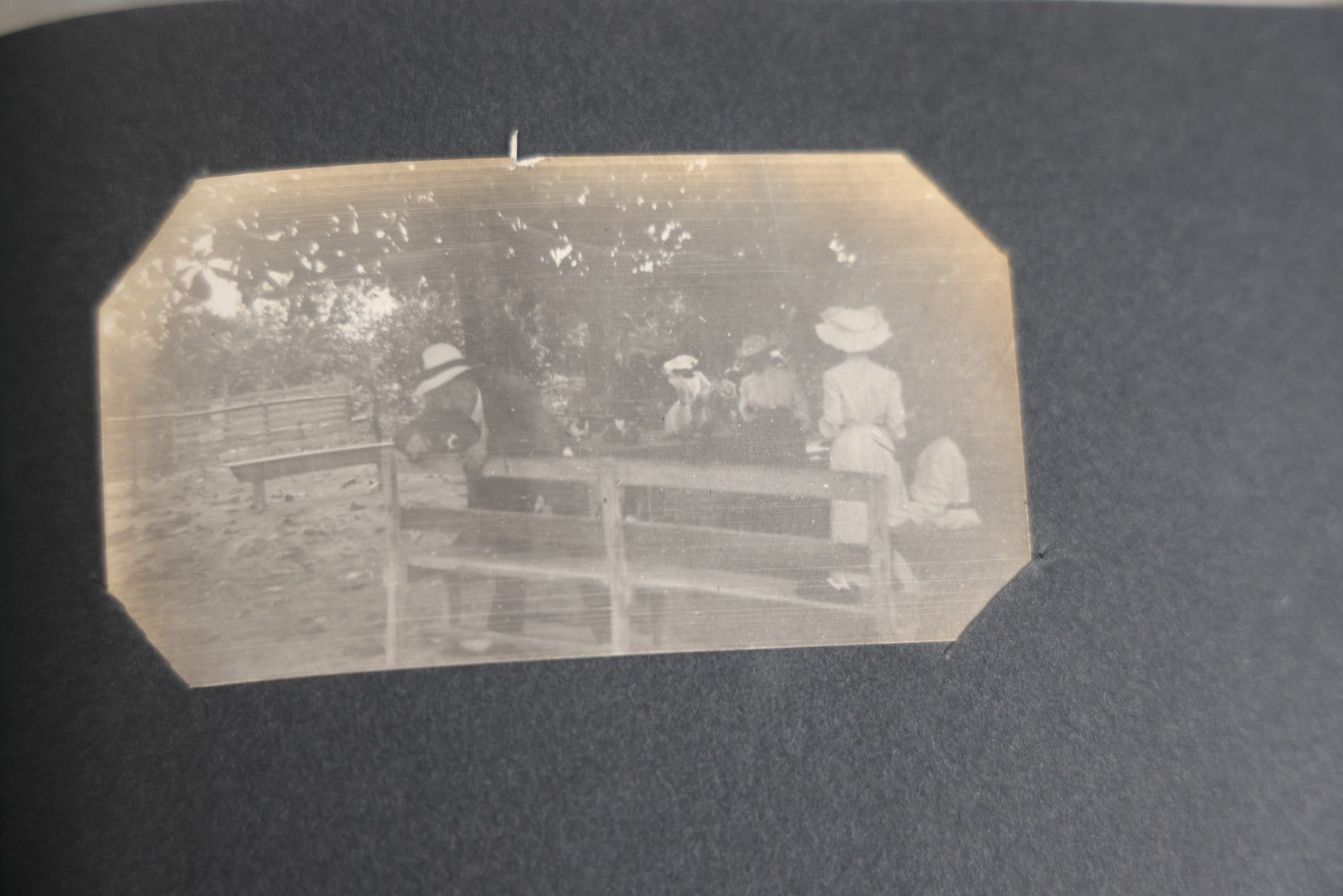 Lot 118 - Antique Snapshot Photo Album, Containing Approximately 30 Photographs, Travel Photo Album With Photos Of Trip To Nassau, Bahamas, February And March 1903, Including Photos On Ship