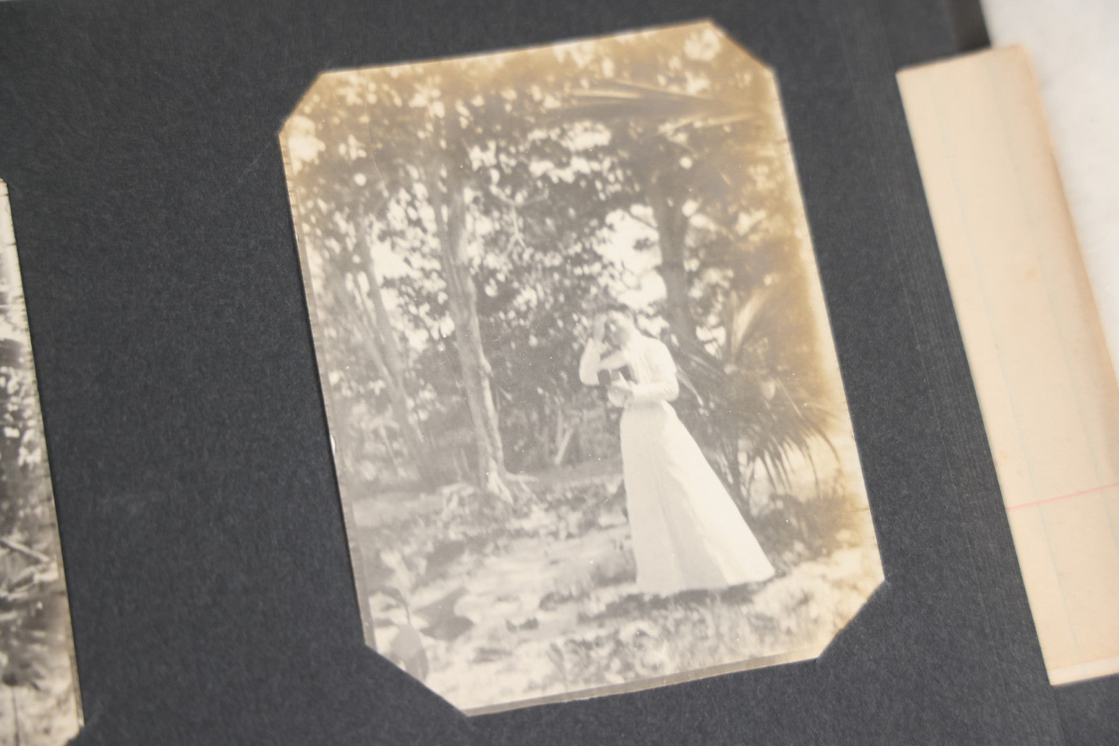 Lot 118 - Antique Snapshot Photo Album, Containing Approximately 30 Photographs, Travel Photo Album With Photos Of Trip To Nassau, Bahamas, February And March 1903, Including Photos On Ship