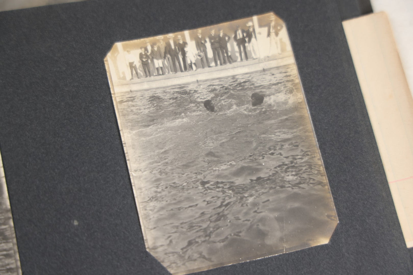 Lot 118 - Antique Snapshot Photo Album, Containing Approximately 30 Photographs, Travel Photo Album With Photos Of Trip To Nassau, Bahamas, February And March 1903, Including Photos On Ship