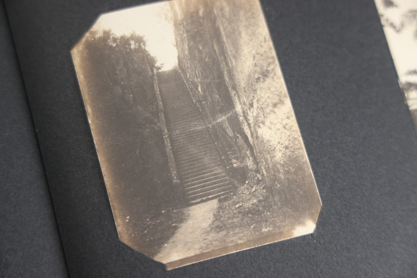 Lot 118 - Antique Snapshot Photo Album, Containing Approximately 30 Photographs, Travel Photo Album With Photos Of Trip To Nassau, Bahamas, February And March 1903, Including Photos On Ship