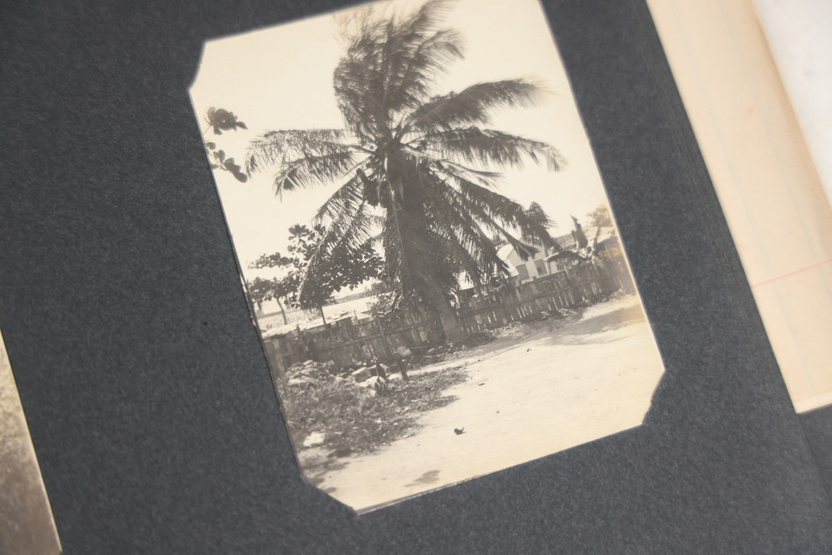 Lot 118 - Antique Snapshot Photo Album, Containing Approximately 30 Photographs, Travel Photo Album With Photos Of Trip To Nassau, Bahamas, February And March 1903, Including Photos On Ship