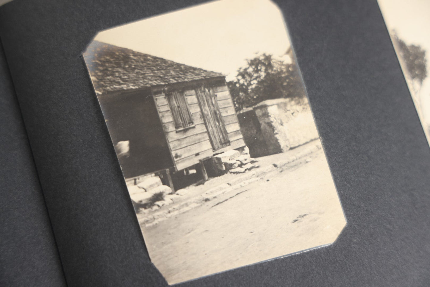 Lot 118 - Antique Snapshot Photo Album, Containing Approximately 30 Photographs, Travel Photo Album With Photos Of Trip To Nassau, Bahamas, February And March 1903, Including Photos On Ship