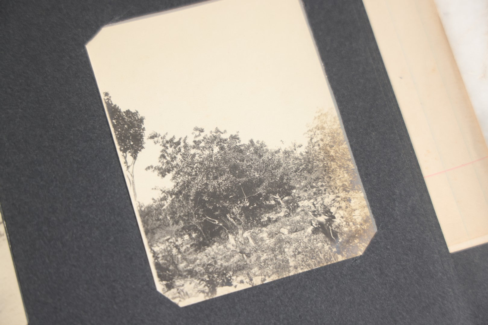 Lot 118 - Antique Snapshot Photo Album, Containing Approximately 30 Photographs, Travel Photo Album With Photos Of Trip To Nassau, Bahamas, February And March 1903, Including Photos On Ship